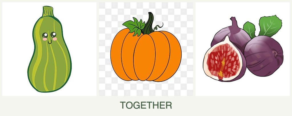 Can you plant zucchini, pumpkin and figs together?