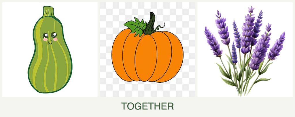 Can you plant zucchini, pumpkin and lavender together?