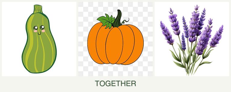 Can you plant zucchini, pumpkin and lavender together?