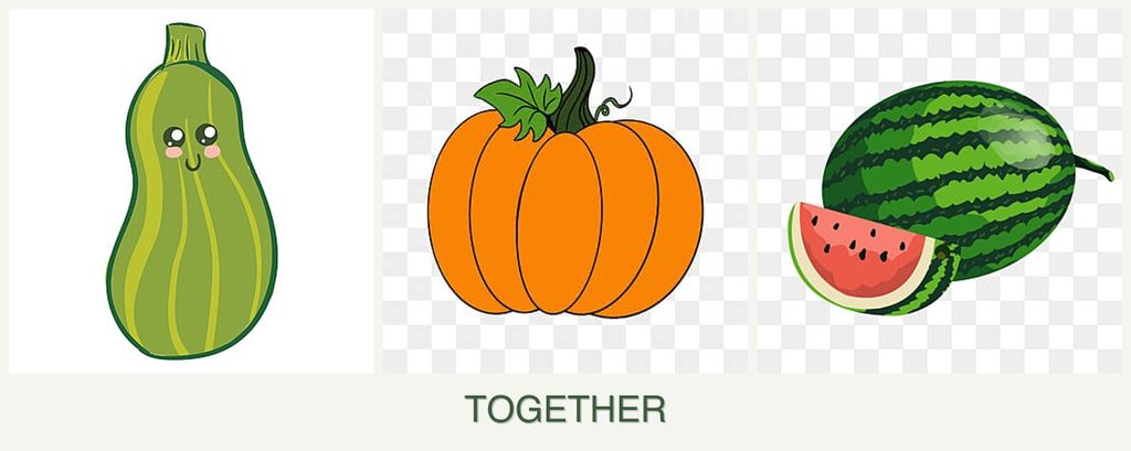 Can you plant zucchini, pumpkin and melons together?