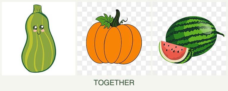 Can you plant zucchini, pumpkin and melons together?
