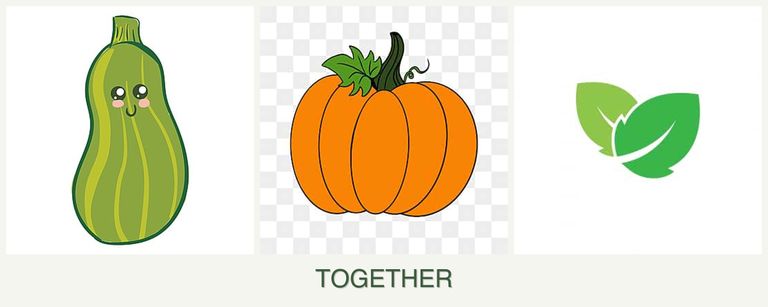 Can you plant zucchini, pumpkin and mint together?