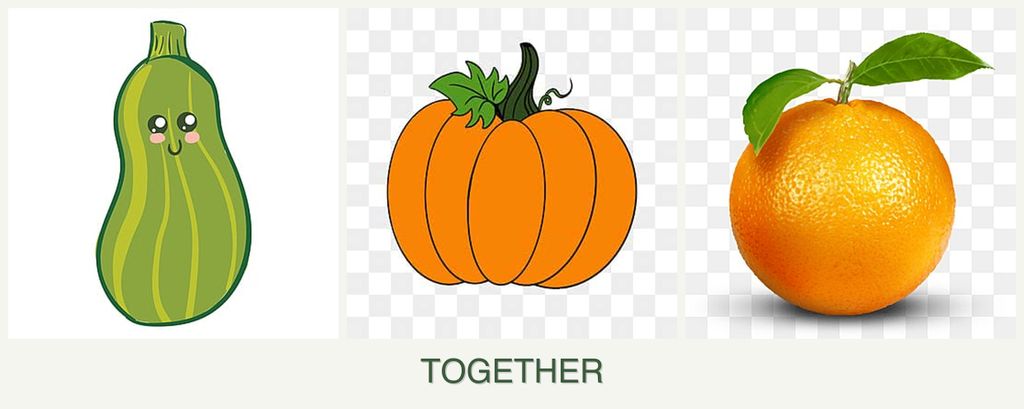 Can you plant zucchini, pumpkin and oranges together?