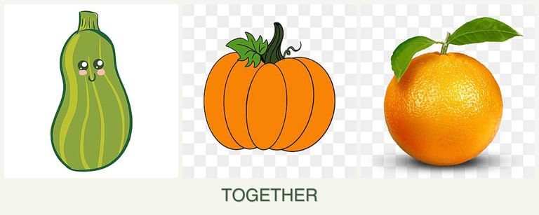 Can you plant zucchini, pumpkin and oranges together?