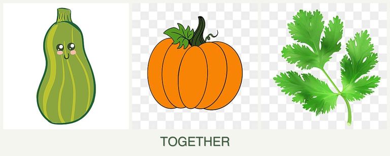 Can you plant zucchini, pumpkin and parsley together?