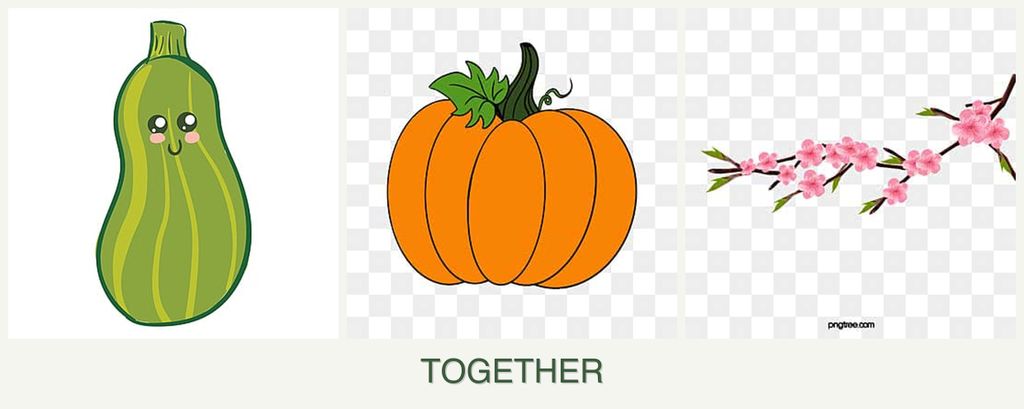 Can you plant zucchini, pumpkin and peaches together?