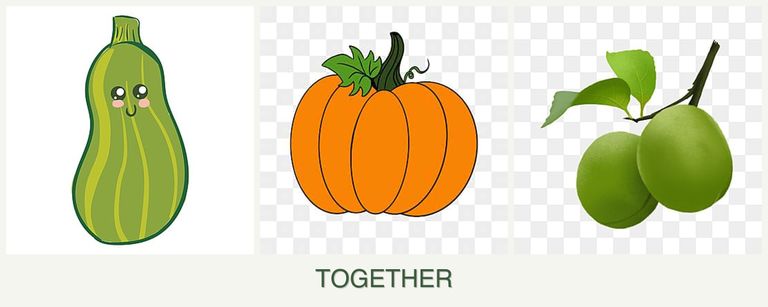 Can you plant zucchini, pumpkin and plums together?