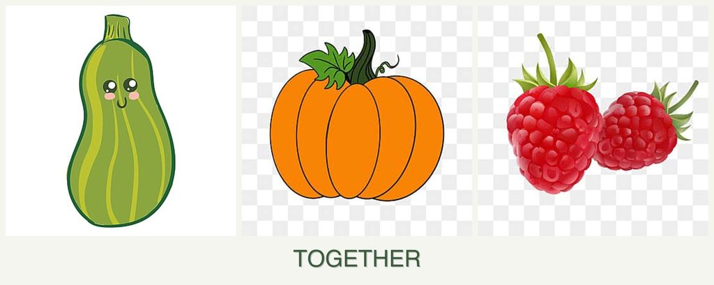 Can you plant zucchini, pumpkin and raspberries together?