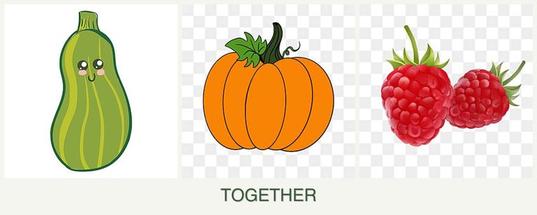 Can you plant zucchini, pumpkin and raspberries together?