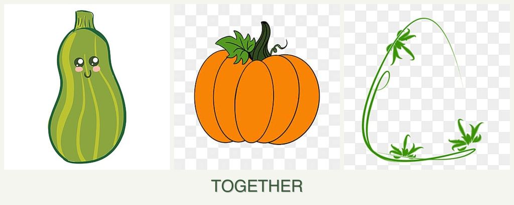Can you plant zucchini, pumpkin and tarragon together?
