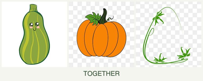 Can you plant zucchini, pumpkin and tarragon together?
