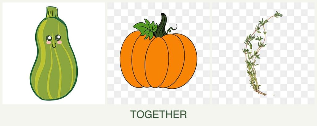 Can you plant zucchini, pumpkin and thyme together?
