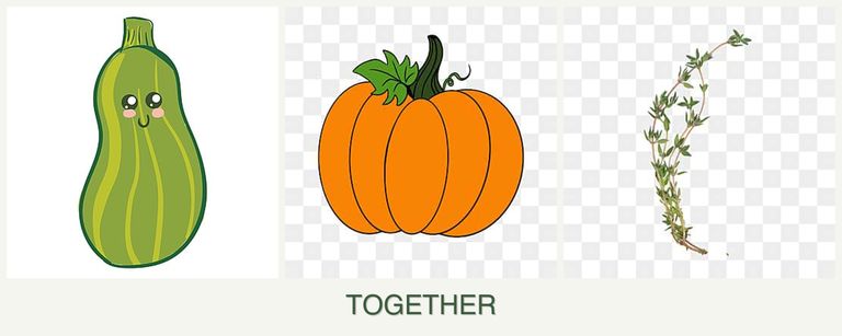 Can you plant zucchini, pumpkin and thyme together?