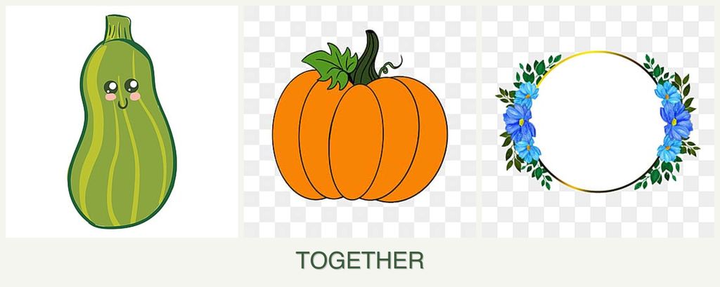 Can you plant zucchini, pumpkin and zinnias together?