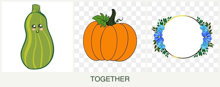 Can you plant zucchini, pumpkin and zinnias together?