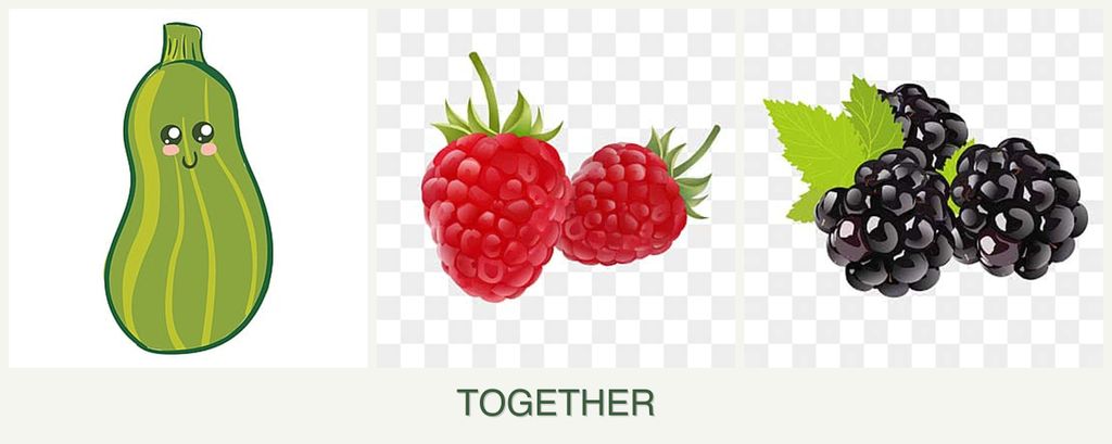 Can you plant zucchini, raspberries and blackberries together?