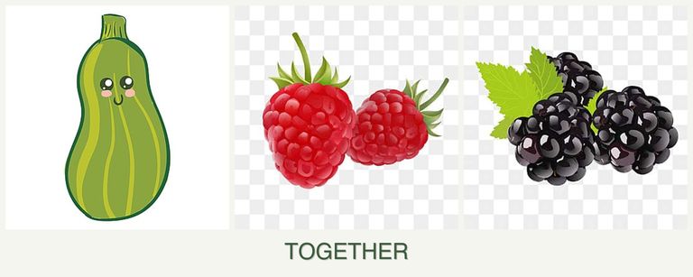 Can you plant zucchini, raspberries and blackberries together?