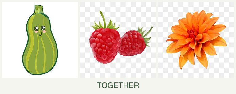 Can you plant zucchini, raspberries and dahlias together?