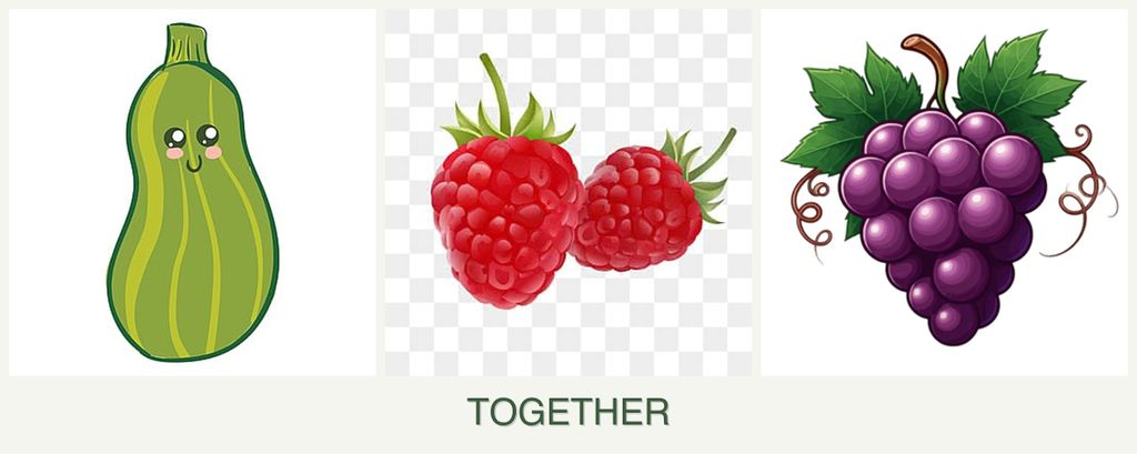 Can you plant zucchini, raspberries and grapes together?