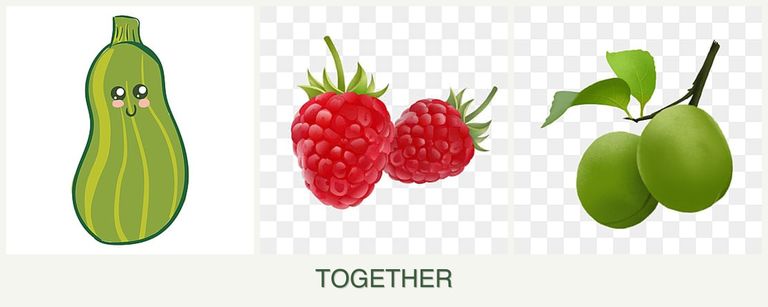 Can you plant zucchini, raspberries and plums together?
