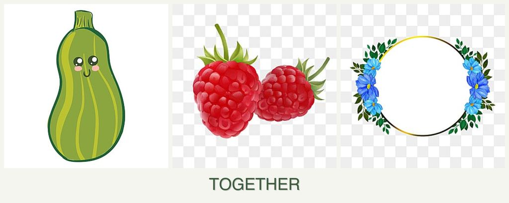 Can you plant zucchini, raspberries and zinnias together?