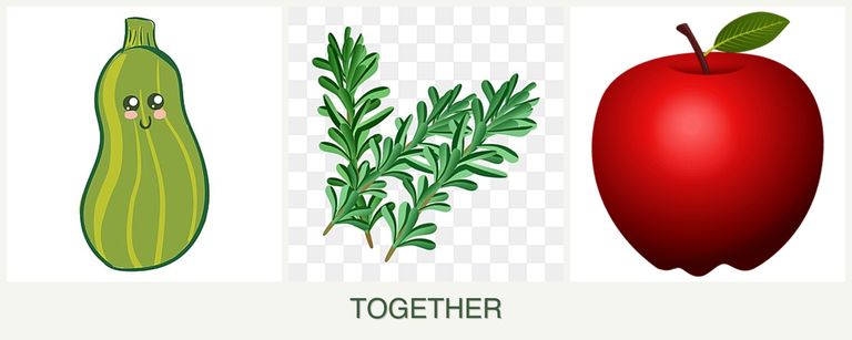 Can you plant zucchini, rosemary and apples together?