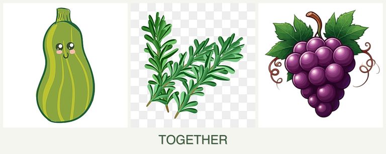 Can you plant zucchini, rosemary and grapes together?