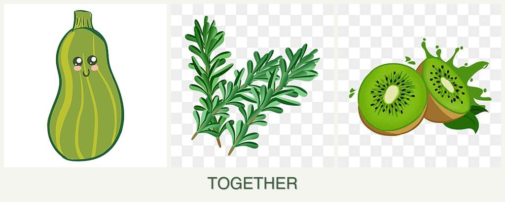 Can you plant zucchini, rosemary and kiwi together?