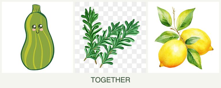 Can you plant zucchini, rosemary and lemons together?