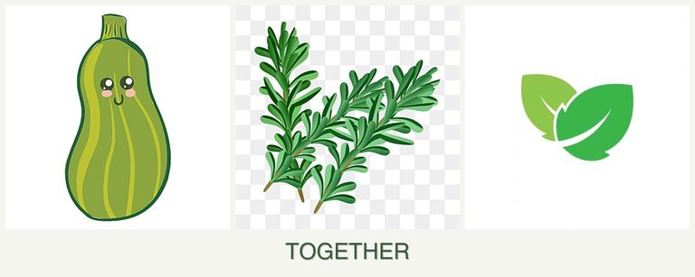 Can you plant zucchini, rosemary and mint together?