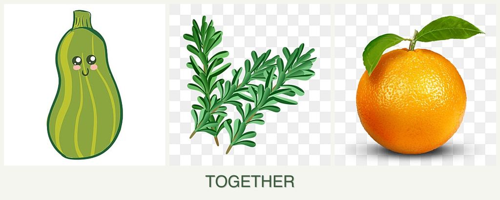 Can you plant zucchini, rosemary and oranges together?