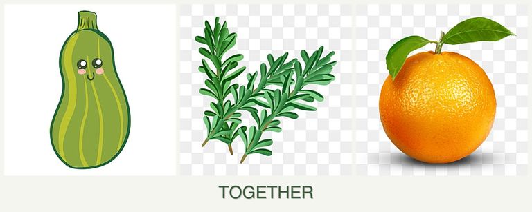 Can you plant zucchini, rosemary and oranges together?