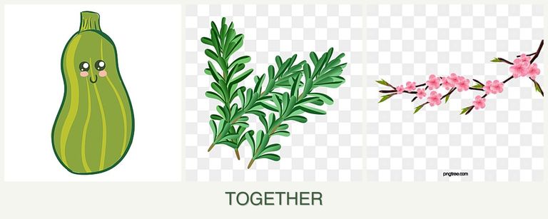 Can you plant zucchini, rosemary and peaches together?