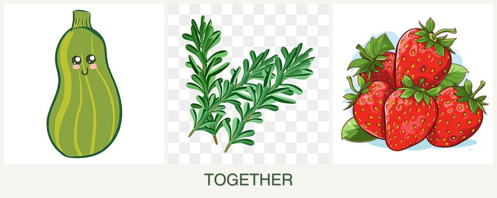 Can you plant zucchini, rosemary and strawberries together?