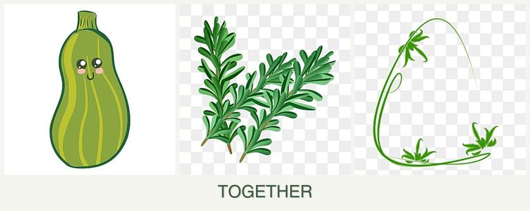 Can you plant zucchini, rosemary and tarragon together?