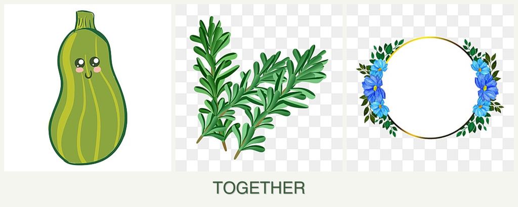 Can you plant zucchini, rosemary and zinnias together?