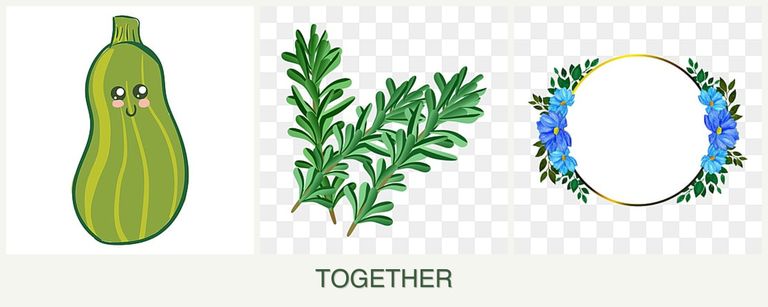 Can you plant zucchini, rosemary and zinnias together?