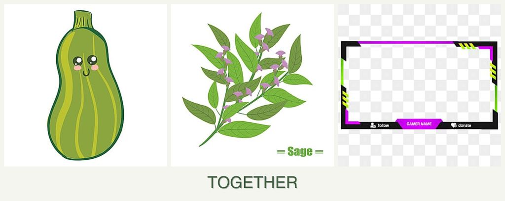 Can you plant zucchini, sage and limes together?