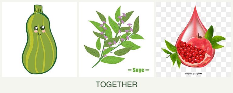 Can you plant zucchini, sage and pomegranates together?