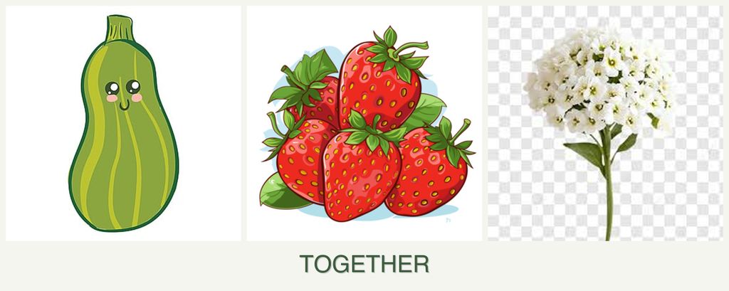 Can you plant zucchini, strawberries and alyssum together?