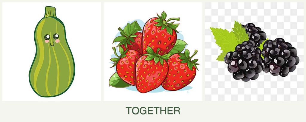 Can you plant zucchini, strawberries and blackberries together?