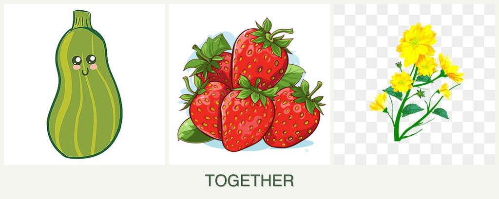 Can you plant zucchini, strawberries and calendula together?