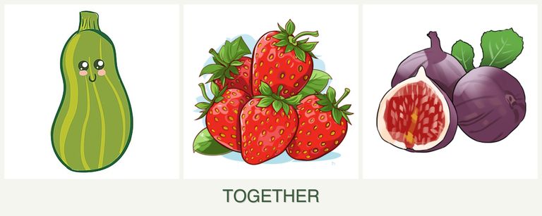 Can you plant zucchini, strawberries and figs together?