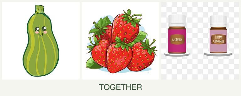 Can you plant zucchini, strawberries and geraniums together?