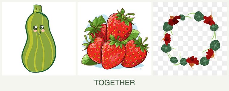 Can you plant zucchini, strawberries and nasturtiums together?