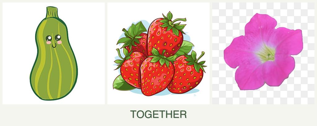 Can you plant zucchini, strawberries and petunias together?