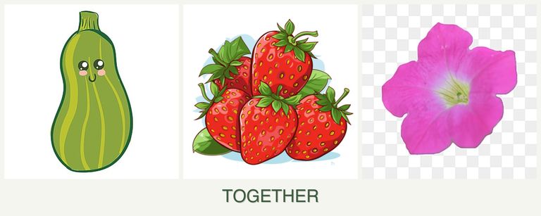 Can you plant zucchini, strawberries and petunias together?