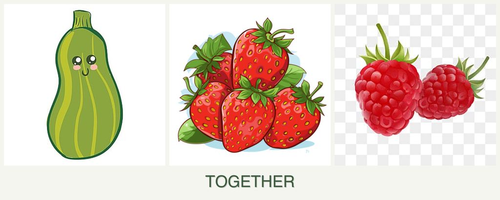 Can you plant zucchini, strawberries and raspberries together?