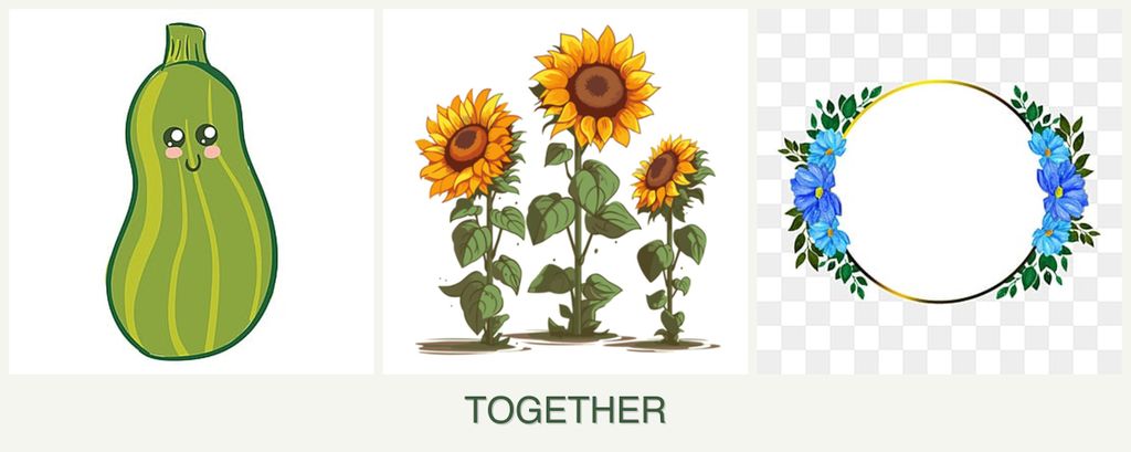 Can you plant zucchini, sunflowers and zinnias together?