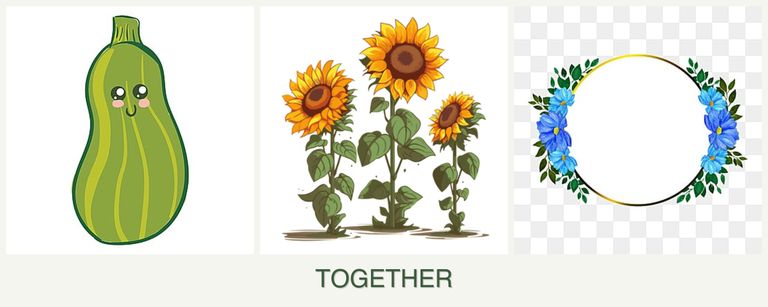 Can you plant zucchini, sunflowers and zinnias together?